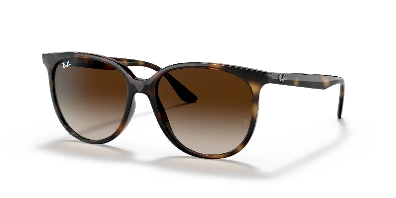 Ray-Ban RB4378 Sunglasses