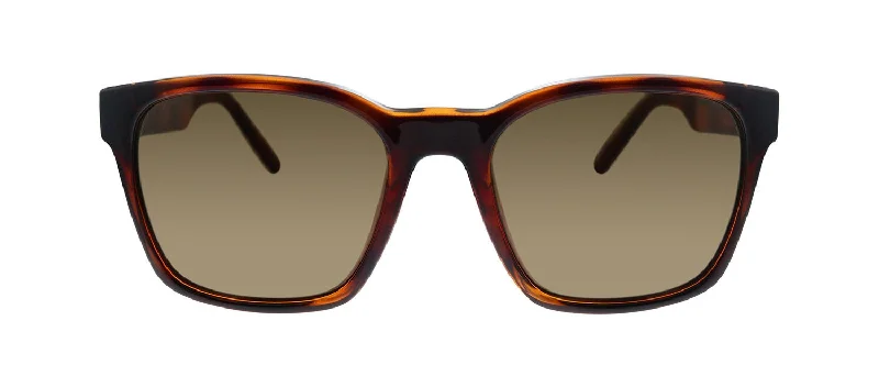 Salvatore Ferragamo SF 959S 214 Square Sunglasses